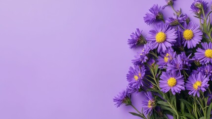 flowers border