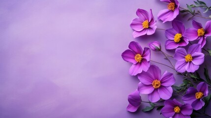 pink and white flowers