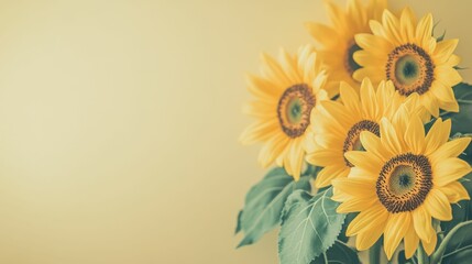 sunflowers on a blue background