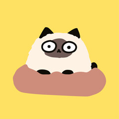a cat with glasses sitting on a pillow