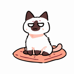 a cat with glasses sitting on a pink rug