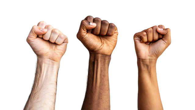 Three diverse fists raised in unity isolated on transparent background
