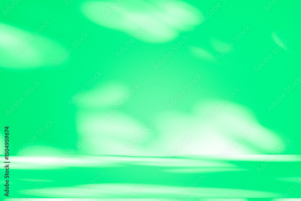 Poster Wall interior background, studio and backdrops show products. with leaf shadow from window color green and white. background for text insertion and presentation of product	