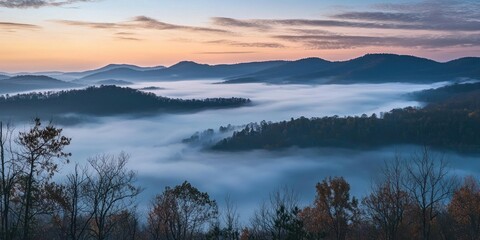 A peaceful valley covered in thick morning fog with peaks emerging above the clouds