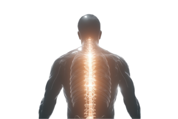 Glowing spinal column highlighted within a translucent anatomical male figure, viewed from behind against a black background