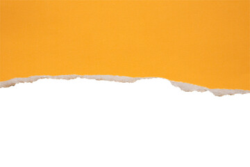 Yellow ripped paper torn edges strips isolated on white background