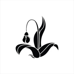 Snowdrop Flower Silhouette Icon