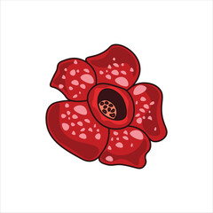 Rafflesia Arnoldi Flower Colored  Illustration