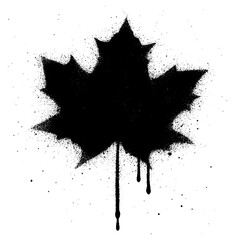 Grunge Black Maple Leaf Graffiti Spray Paint Stencil on White Background. © kadiran