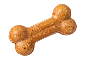 dog bone isolated on transparent background