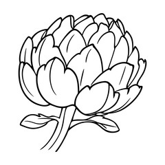 Artichoke Line Drawing Illustration