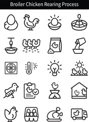 Broiler Chicken Rearing Process Icons