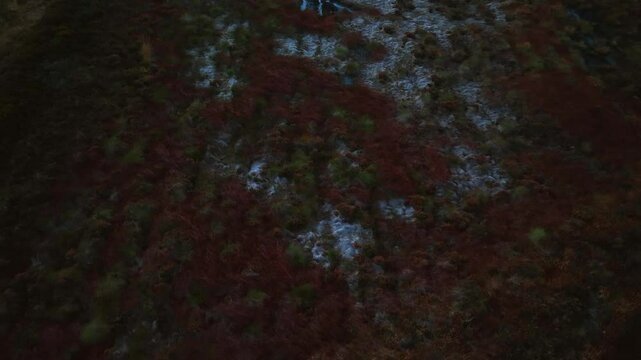 Bragan, County Monaghan, Ireland, September 2022. Drone top shot overview angled approach across bog wetlands with grass and shrub patches dotted with water puddles and streams.