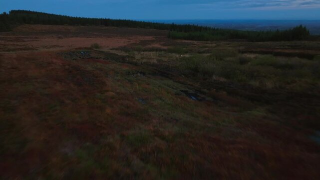 Bragan, County Monaghan, Ireland, September 2022. Drone fast tilt up and descend over bog wetlands as water patches appear in muddy grounds between tall grass and shrubs at twilight.
