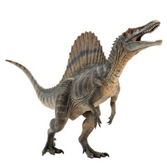 Fototapeta premium Spinosaurus dinosaur with large sail aquatic isolated on a transparent background