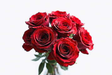 Bouquet of Red Roses on White Background

