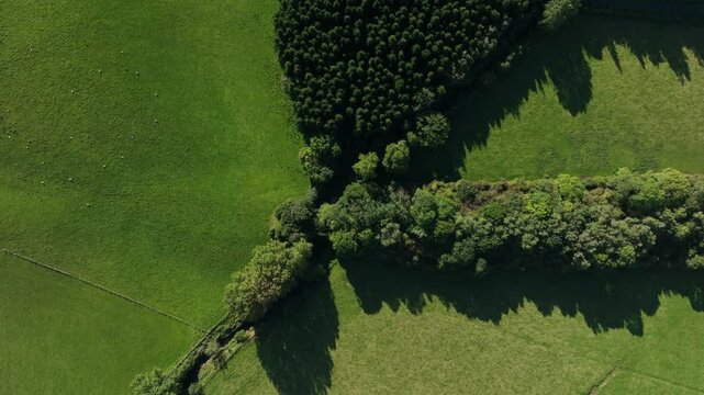 Old Railway Line, Glaslough, County Monaghan, Ireland, September 2022. Drone top bird's eye view zenithal perspective along historic overgrown path with small homes in forest.
