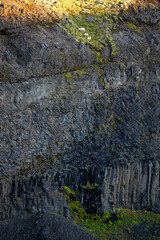 sheep on the edge of a clip