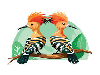 Obraz premium Two hoopoes birds on branch isolated on white background 