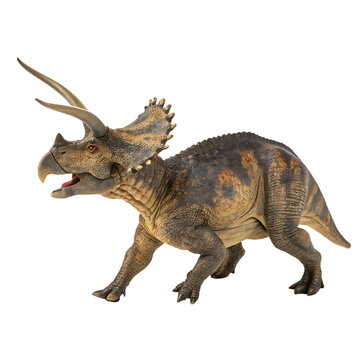 Small Zuniceratops dinosaur with brow horns isolated on a transparent background