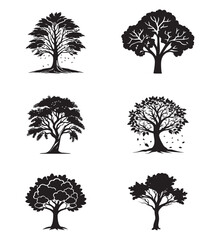 tree plant vector picture