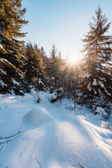 Winter hiking to Velky Rozsutec in Mala Fatra National park is full of beautiful views. Sunset in Slovakia mountains. Slovakia landscape