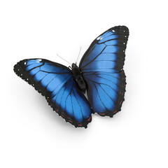  Blue Morpho Butterfly isolated on transparent background