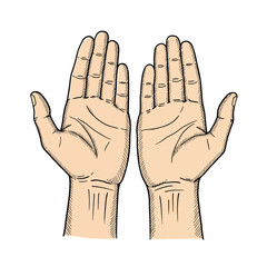Hand gestures line icons. Handshake, Clapping hands, Victory. Horns, Thumb up finger, drag and drop icons. Donation hand gestures, middle finger, palm. Helping hand, ok sign. Vector