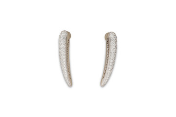 Chain in  Necklace  the white background including ,white background nad  Clipping Path to White Background.world studio24 (3)