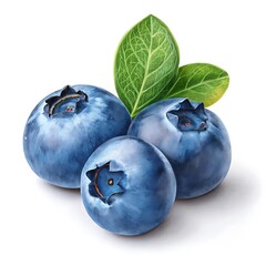 Obraz premium Blueberry Fruits with White Background