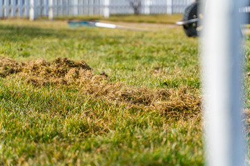 A pile of dry grass as a result of raking the lawn after winter. Spring lawn care and cleaning