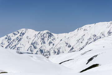 快晴の空に映える立山の雪景色
2025年4月30日に撮影された立山の春の雪景色。青空と真っ白な斜面が広がる美しい風景。
