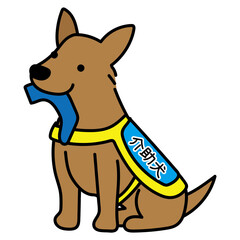 靴下を持ってくる立ち耳の介助犬