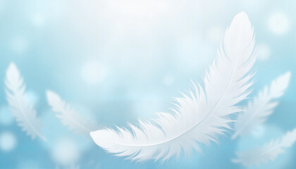 Naklejka premium White feathers floating against a soft blue background with bokeh 