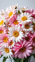 Fototapeta premium Beautiful Bouquet of Pink and White Daisies Close Up Shot