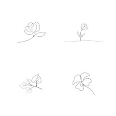 Elegant line drawings of various flowers and leaves minimalist floral illustrations for design