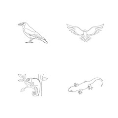 Line art illustrations of birds reptiles and amphibians set against white background