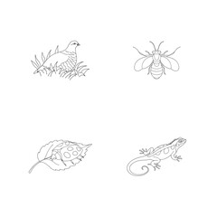 Obraz premium Outlined illustrations of a bird, bee, ladybug, and lizard representing nature and animals
