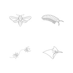 Minimalist line drawings of insect and bird designs perfect for nature themed graphics