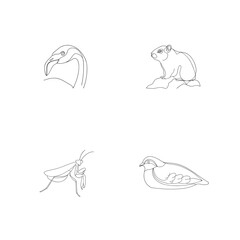 Simple line art drawings of a flamingo, squirrel, praying mantis, and bird on white background