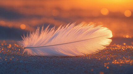 White feather glowing in warm sunlight lying on sparkling sand minimal natural light concept
