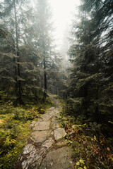 Liptov region hiking in jasna in Low Tatras mountains landscape, slovakia.