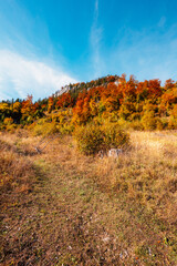 Fototapeta premium Liptov region Hiking in Tatras mountains to autumn cerenova rock view near Liptovsky Mikulas , slovakia.