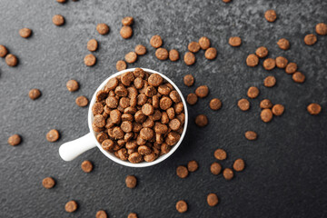 White bowl of dry dog food on black textured background with scattered kibbles