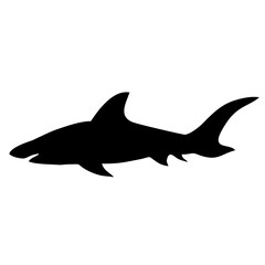 silhouette of a shark