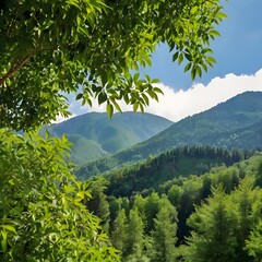 natural_backgroundon_a_moutain_a_green_tree