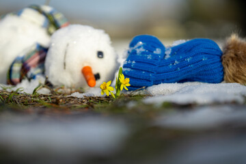 Funny Snowman fading away as warm spring weather arrives. Warm winter weather. End of winter, hello...