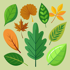 Vibrant Autumn Leaves Collection. Colorful Fall Foliage and Leaf Shapes