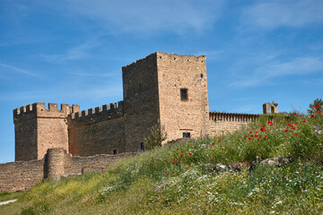Pedraza Castle in Segovia, surrounded by red poppies and a green meadow on a sunny day.