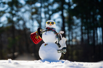Snowman on winter background. Playful snowman outdoors. Winter holiday. Cute snowman in snow....
